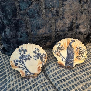 May include: Two decorative seashells with a white background and blue and black painted designs. One shell features a peacock design and the other features a floral design.