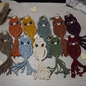 May include: A collection of macrame owl keychains in various colors, including brown, orange, yellow, blue, and green. Each owl has a silver keyring and a tassel tail. The owls are decorated with small beads for eyes and a heart-shaped beak.