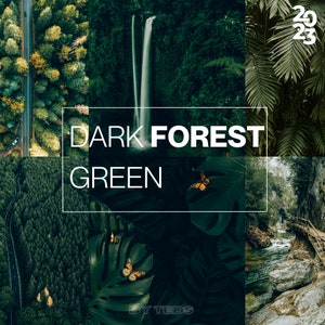 4 DONKERE BOSGROENEN Lightroom mobiele en desktopvoorinstellingen (2023), reisvoorinstellingen, groene voorinstellingen, natuurvoorinstellingen, filmische voorinstellingen,