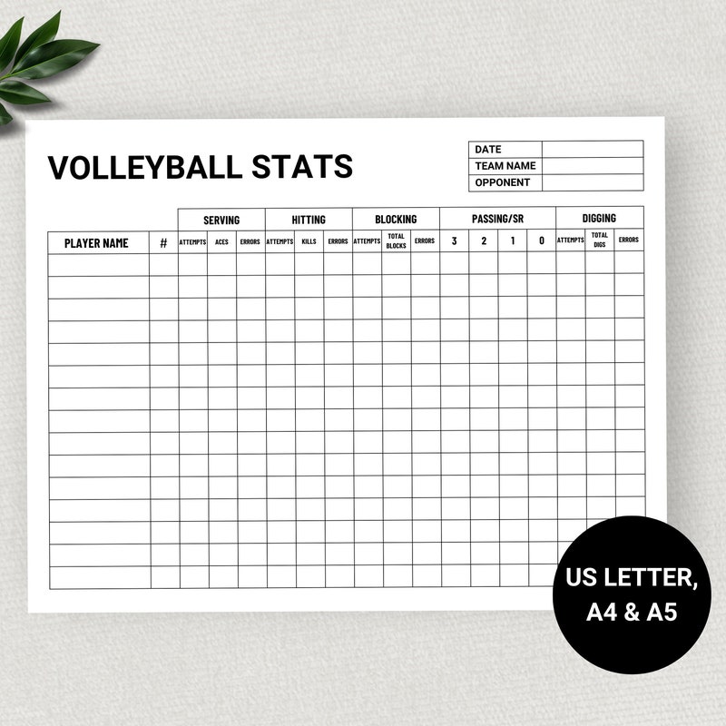 Volleyball Roster Sheet.pdf Sports Stats Sheet - Etsy
