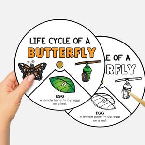 Butterfly Lifecycle Craft, Spring Coloring Activity, Life Cycle of a Butterfly Spinning Wheel, Science Homeschool Coloring Printable