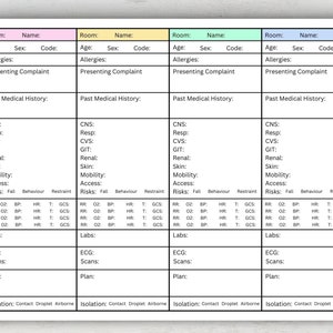 May include: A medical chart template with sections for patient information, past medical history, vital signs, risks, labs, and isolation precautions. The chart is divided into four columns, each with a different color.