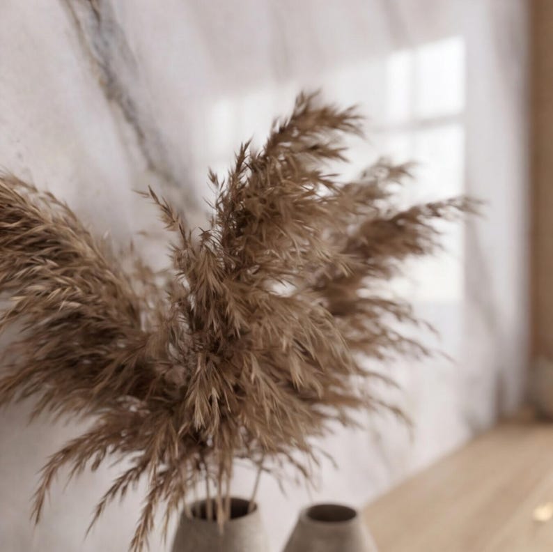 May include: A close-up of dried pampas grass in a vase. The tall, feathery plumes are a warm brown color, and the vase is a light gray. The background is a blurred wall and window.