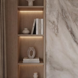May include: A wooden bookshelf with built-in lighting displays decorative items. The shelves hold books, vases, and a carved decorative piece. The background features a marble wall.