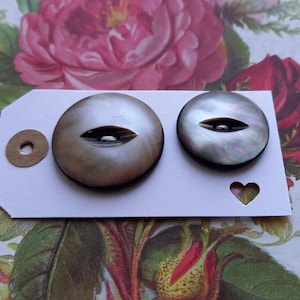May include: Two large, iridescent grey buttons with a central eye-shaped design are displayed on a white tag, with a small, round, tan button. The tag has a heart-shaped cutout. The background features a floral pattern with pink roses.