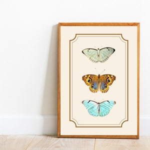 Vintage Butterfly Wall Art, Butterfly Illustratiton, Antique Butterfly Wall Hanging, Digital Download, Insect Printable, Instant Download