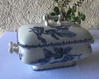 Sumptuous “Prunes” soup tureen in French ironstone by U&C of Sarreguemines