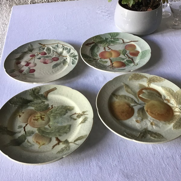 Delightful barbotine dessert plates in french ironstone of K&G Lunéville.