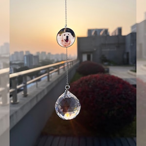 Rainbow Bridge Dog Memorial Gifts,Pet Memorial Crystal Suncatcher,Personalized Pet Portrait Gift,Dog/Cat/Pet Memorial Gift,Pet Loss Memorial