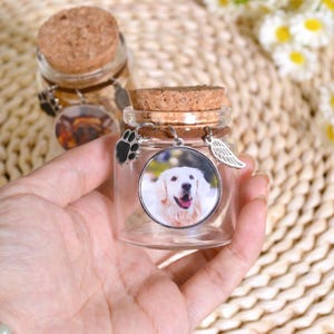 Benutzerdefinierte Haustier Fell Erinnerungsglas, Haustier Porträt Erinnerungsgeschenk, Erinnerungsglas, Regenbogen Brücke Geschenk, Erinnerungsgeschenk für Hund Katze Haustier
