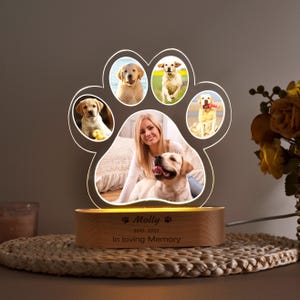 Light Up Pet Memorial Plaque Personalisierte Haustier Sympathie Geschenk Gedenkgeschenke für Haustiere Geschenk für Haustierverlust