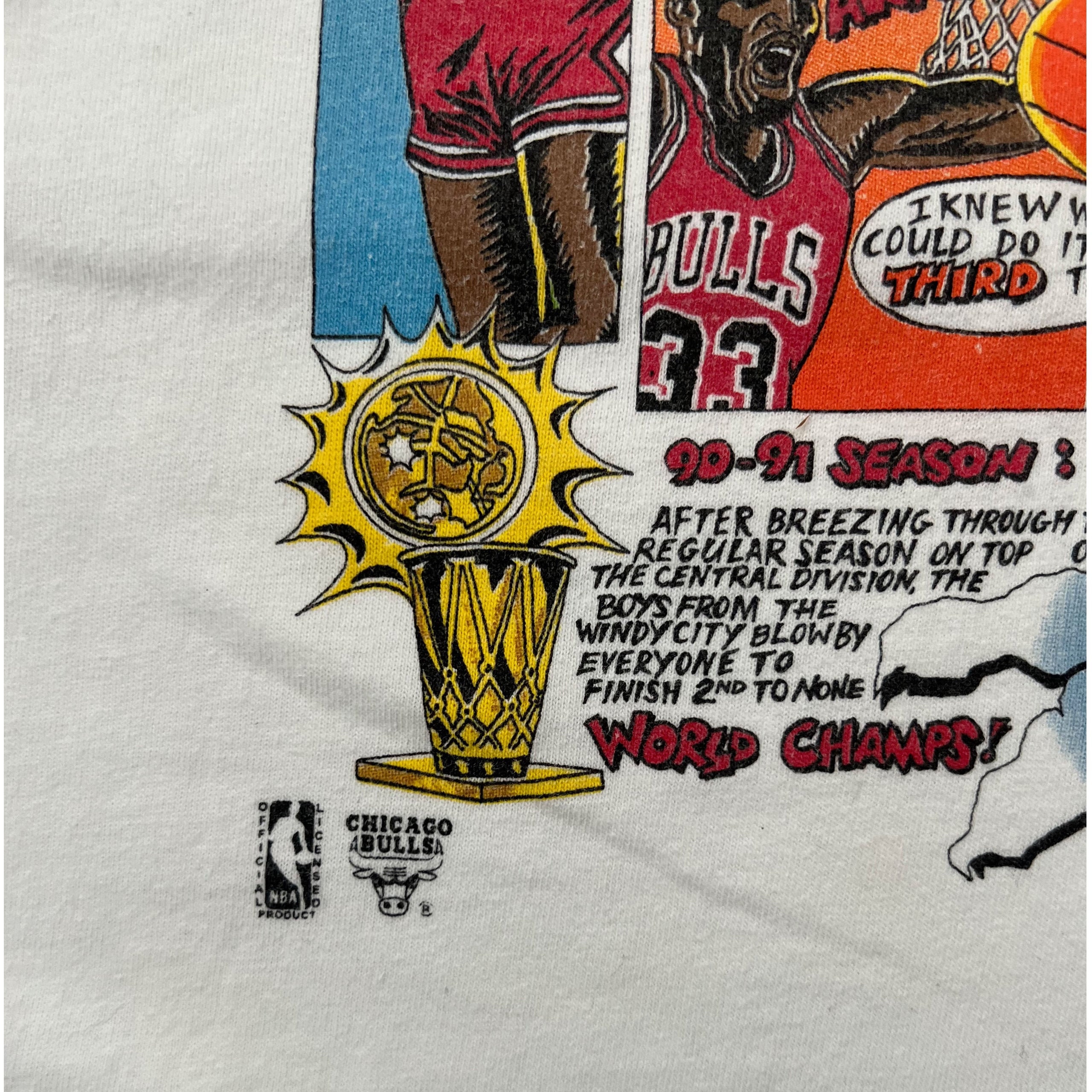 Vintage 1993 Chicago Bulls 3 Time NBA World Champs