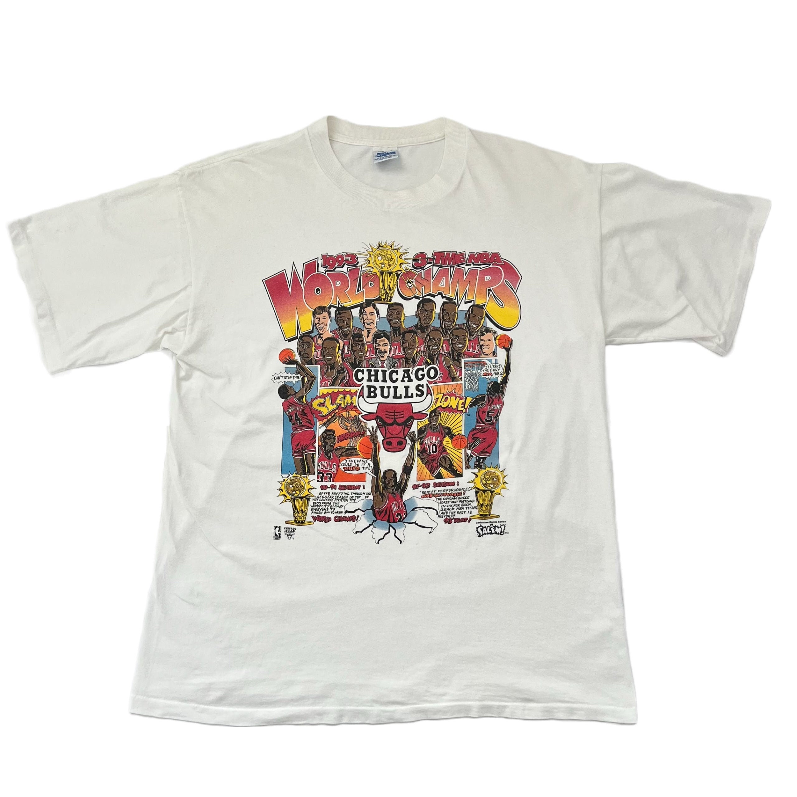 Vintage 1993 Chicago Bulls 3 Time NBA World Champs