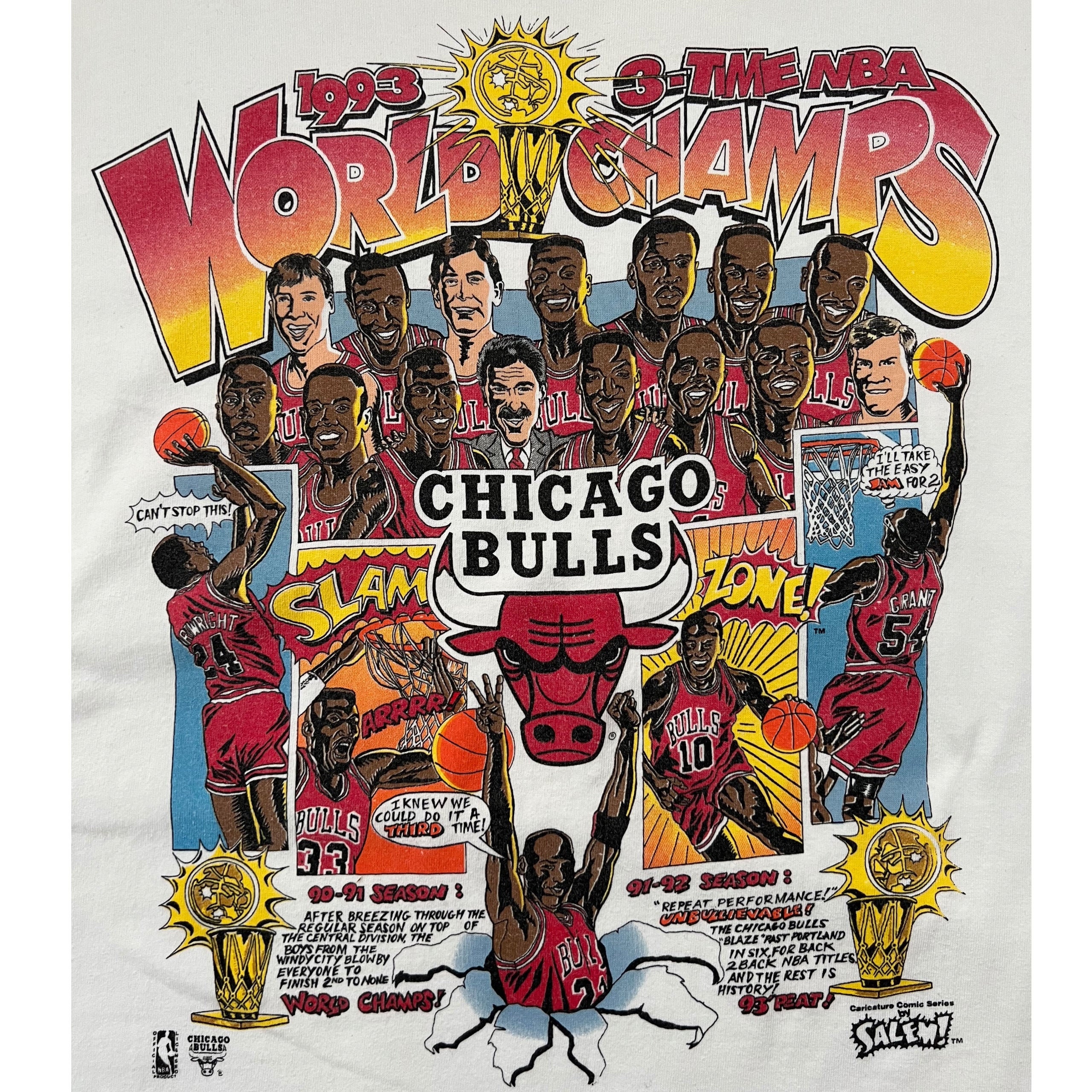 Vintage 1993 Chicago Bulls 3 Time NBA World Champs