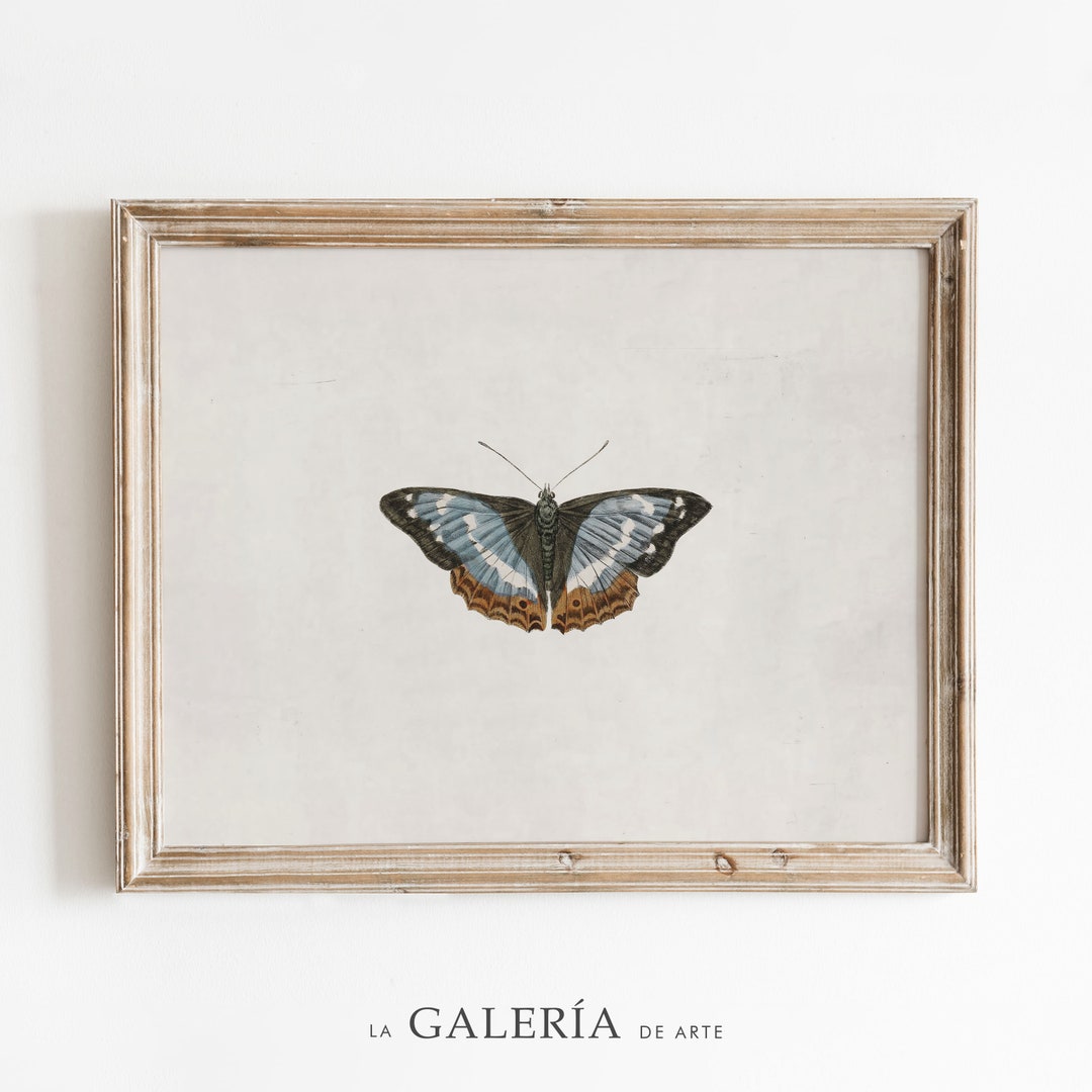 Libellen Leinwand Kunst - Grün-blaue Natur Wanddekoration 40,6x50,8 Cm