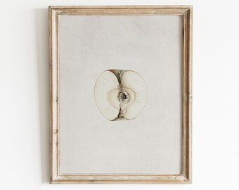 Horizontal Vintage Apple Print, Peach Wall Art, Rustic Kitchen Print ...