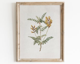 Vintage Botanical Print | Antique Flower Print | Farmhouse Decor