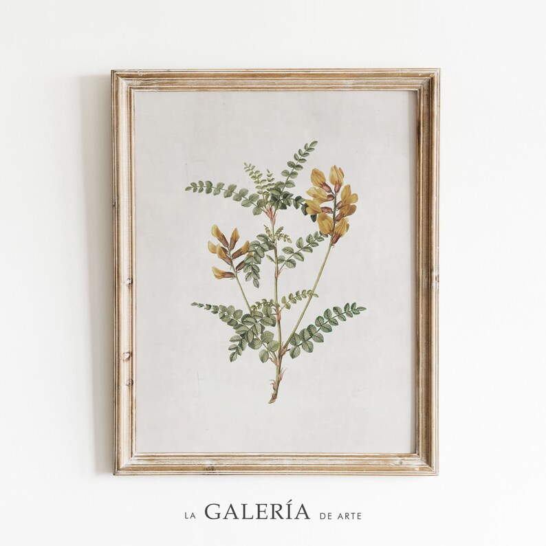 K&ouml;nnte beinhalten: Ein gerahmter botanischer Druck mit einer gelben Blume und gr&uuml;nen Bl&auml;ttern. Der Druck ist auf wei&szlig;em Hintergrund und hat einen hellen Holzrahmen.