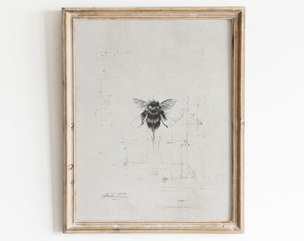 Bee Illustration | Insect Print | Scientific Drawing