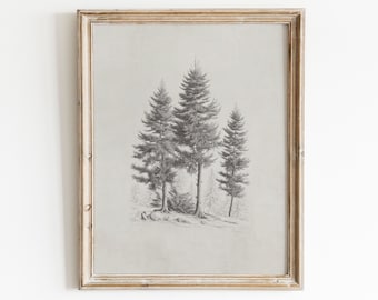 Pine Tree Sketch Art | Tree Drawing Print | Minimalist Wall Art