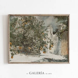 Vintage Orange Tree Print | Kitchen Wall Decor | Antique Watercolor Painting
