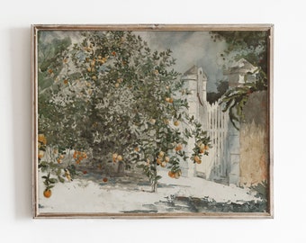 Vintage Orange Tree Print | Kitchen Wall Decor | Antique Watercolor Painting