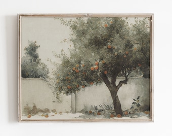 Estampado de naranjos / Arte de cocina campestre / Pintura de frutas