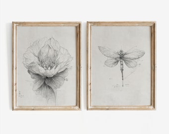 Neutral Sketch Set | Set of Two Prints | Botanical Drawing | Minimalist Wall art | Set of 2