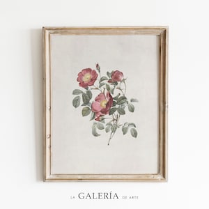 Vintage Flower Print | Antique Botanical Print |  Rose Painting | Country Decor