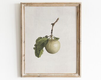 Vintage Apple Print | Country Kitchen Art | Rustic Decor