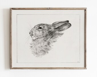 Rabbit Sketch Print | Animal Drawing  | Neutral Nursery Art