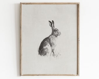 May include: A black and white illustration of a rabbit sitting in a field of grass. The rabbit is facing to the right and has long ears.