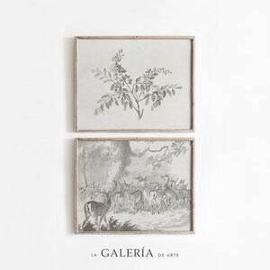 Vintage Gallery Wall Set  |  Neutral Gallery Wall Prints | Light Art Print Set | Set of Two