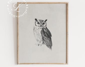 May include: A black and white illustration of an owl with large, round eyes. The owl is perched on a branch and looking directly at the viewer.