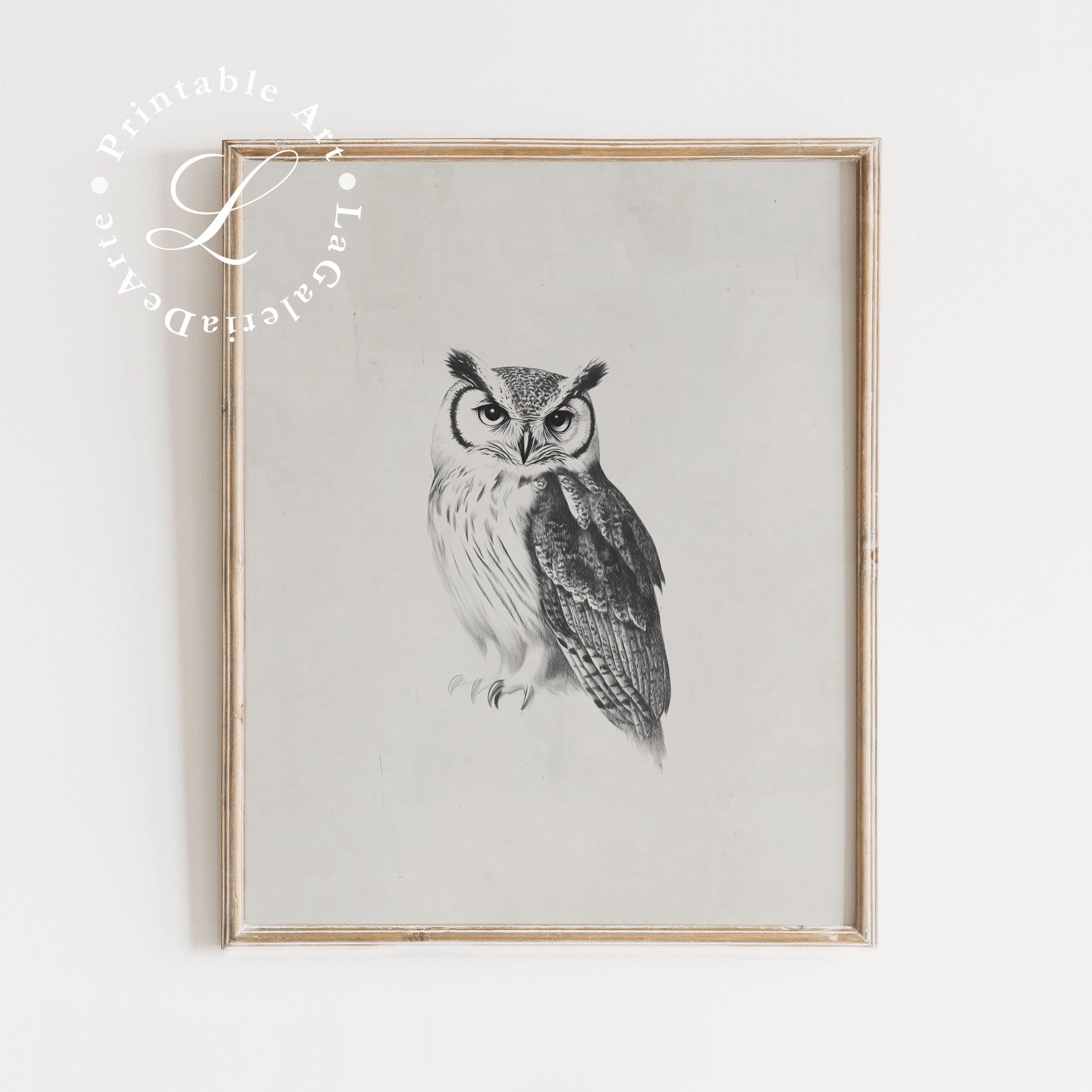 Owl Sketch Print | Animal Drawing  | Neutral Nursery Art