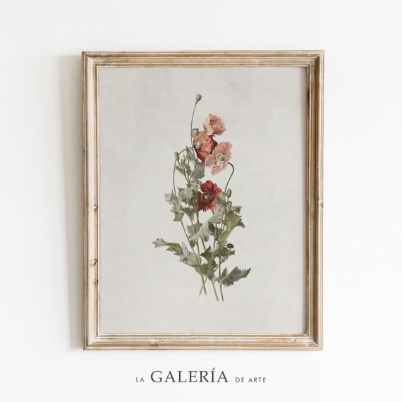 Vintage Botanical Print | Antique Flower Print | Poppy Print | Farmhouse Decor