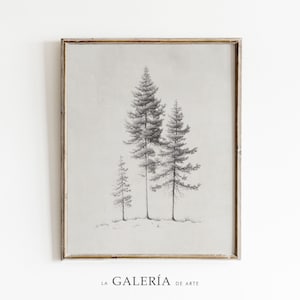 Pine Tree Sketch Art | Tree Drawing Print | Minimalist Wall Art