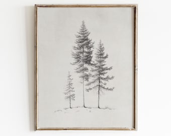 Pine Tree Sketch Art | Tree Drawing Print | Minimalist Wall Art