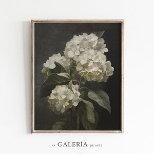 May include: A vintage-style botanical illustration of white hydrangeas with green leaves against a dark gray background.