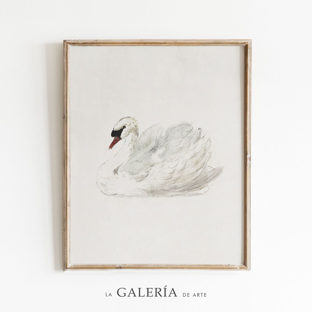 Vintage Nursery Wall Art Swan Watercolor Painting Vintage Animal Print
