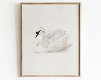 Vintage Nursery Wall Art | Swan Watercolor Painting | Vintage Animal Print