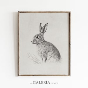 Rabbit Sketch Print | Hare Drawing | Farmhouse Wall Art