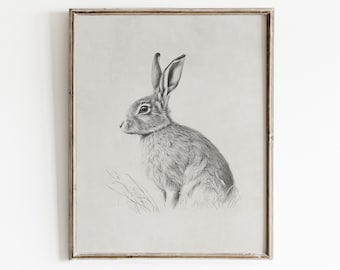 Rabbit Sketch Print | Hare Drawing | Farmhouse Wall Art