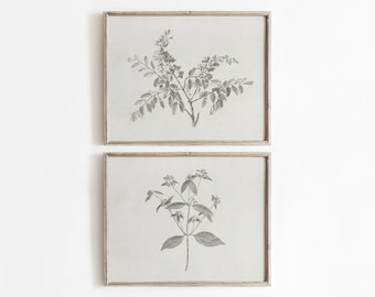May include: Two framed black and white botanical prints of flowers. The top print features a branch with leaves and flowers. The bottom print features a single stem with leaves and flowers. The frames are light wood.