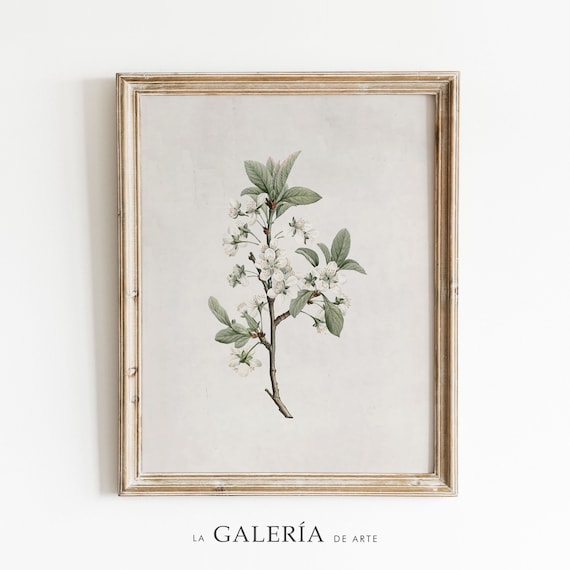 Vintage Cherry Blossom Print | Botanical Print | Spring Wall Art