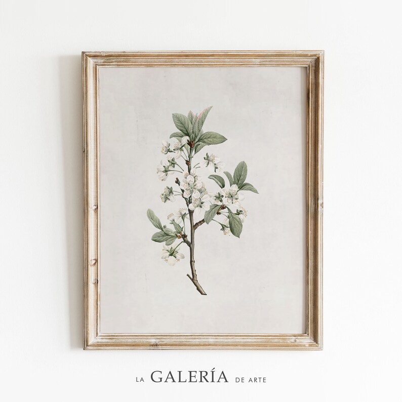 May include: A framed botanical illustration of a white flowering branch with green leaves on a light grey background. The frame is a light wood colour.