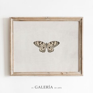 Vintage Butterfly Print | Insect Print | Farmhouse Wall Decor