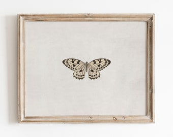 Vintage Butterfly Print | Insect Print | Farmhouse Wall Decor