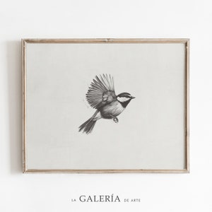 May include: A black and white pencil drawing of a bird in flight. The bird is in mid-air with its wings spread out. The drawing is framed in a simple wooden frame.