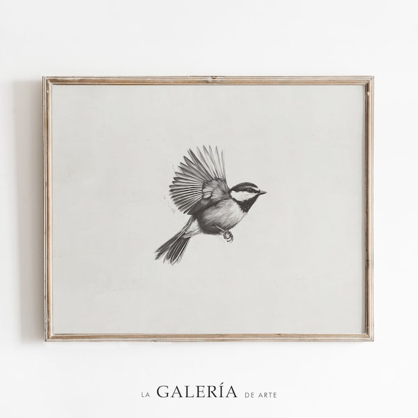 Birds Sketch Print | Animal Drawing  | Rustic Wall Art